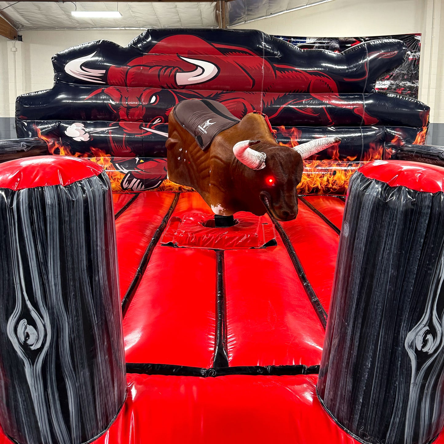 The Starter Bull Package