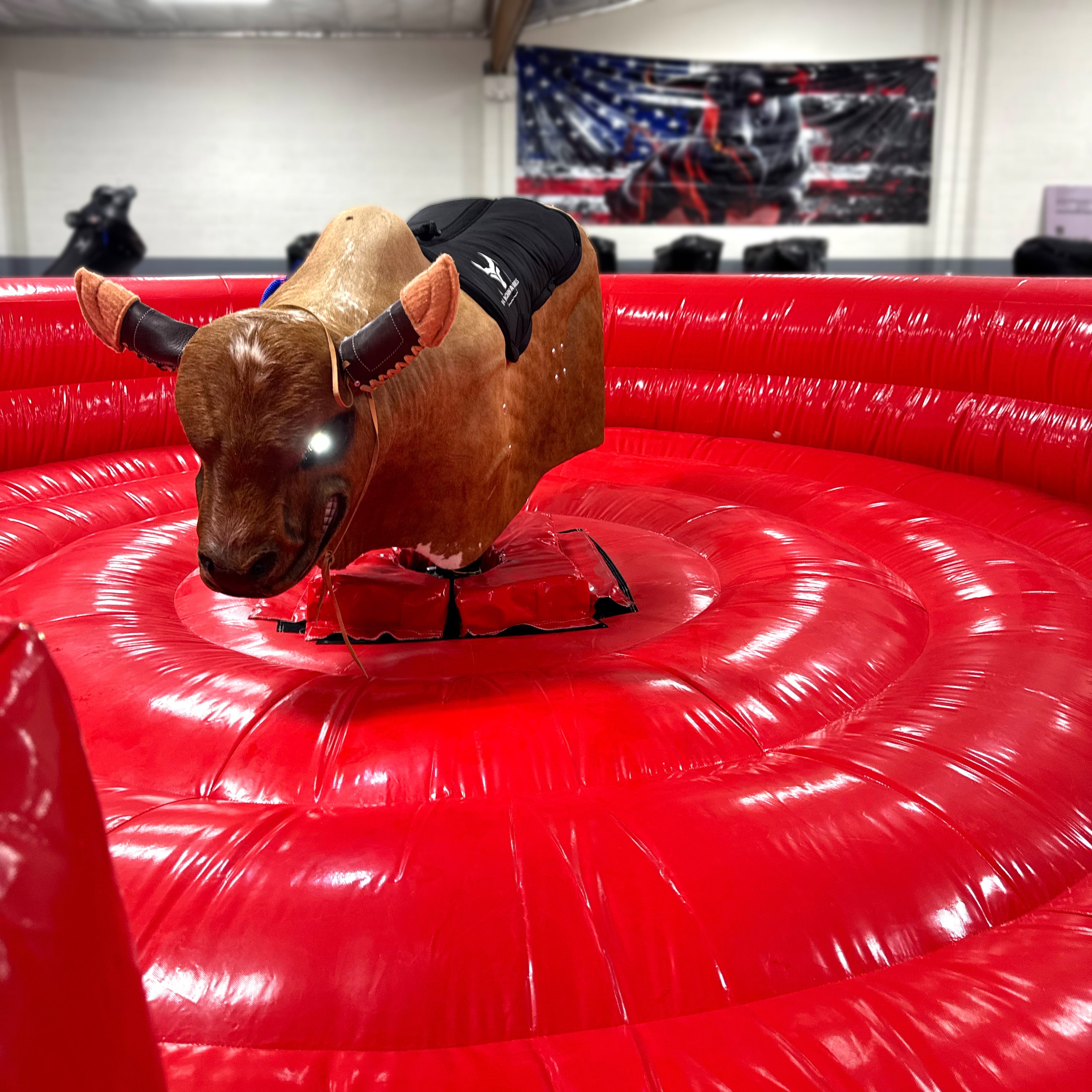 Starter Bull Package – USA Mechanical Bulls