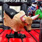 Premium Mechanical Bull Package