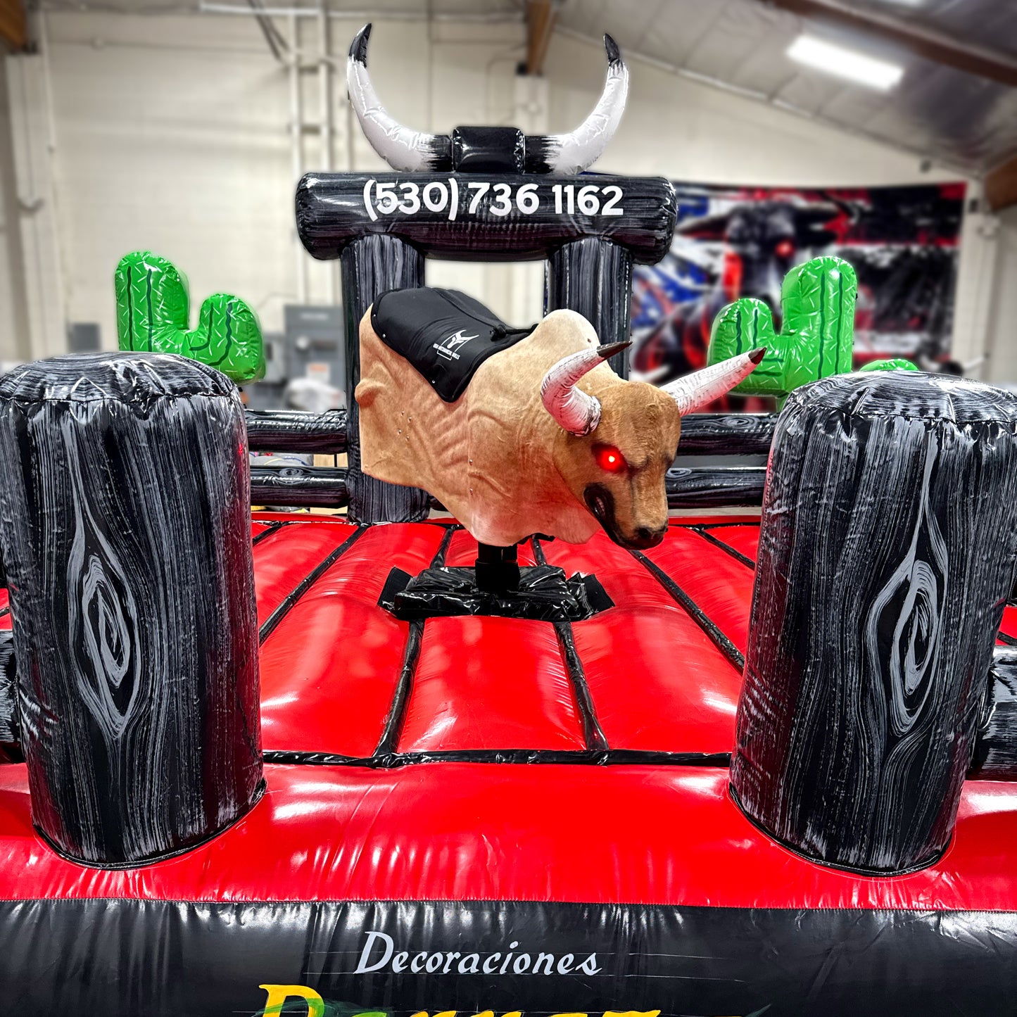 The Starter Bull Package