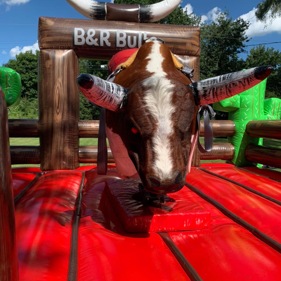 Bull Parfect Premium Mechanical Bull Package – USA Mechanical Bulls